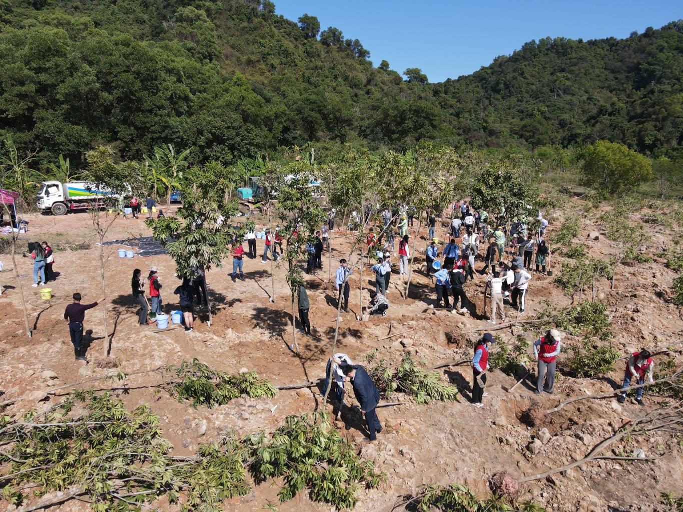 Shenzhen University's "Student Forest" tree-planting initiative flourishes across the Yuehai and Lihu campuses