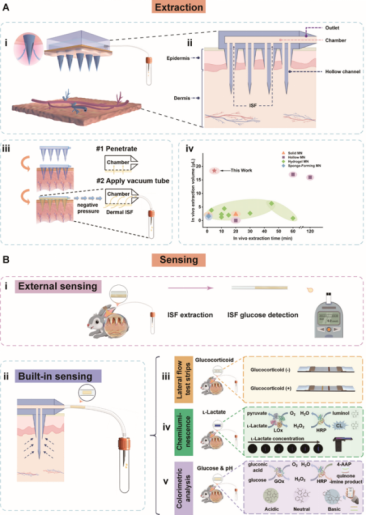 Professor Zhang Xueji's team from theMedical School at Shenzhen University publishes research findings on a high-efficiency ISF extraction microneedle device and a multi-modal POCT platform in the Advanced Science journal